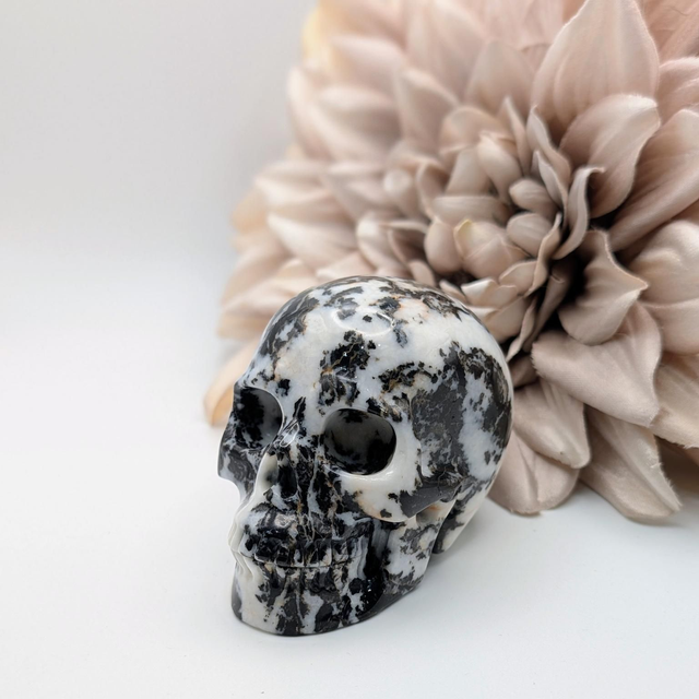 High Quality Hand Carved Crystal Skull - 3" Zebra Jasper 