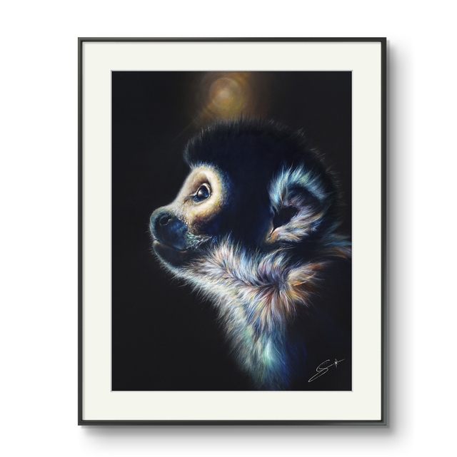 Tirage d’art Saimiri 30x40