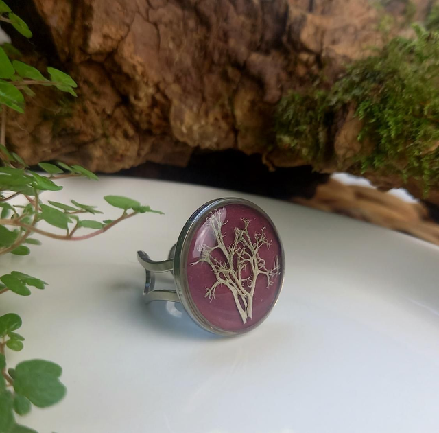 Bague argentée ◦ Lichen 