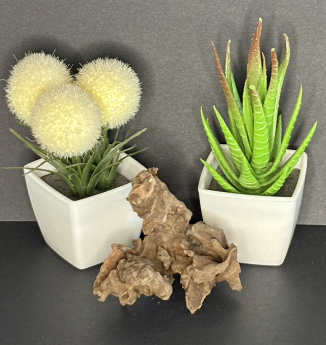 Natural Miniature Ornamental Wood