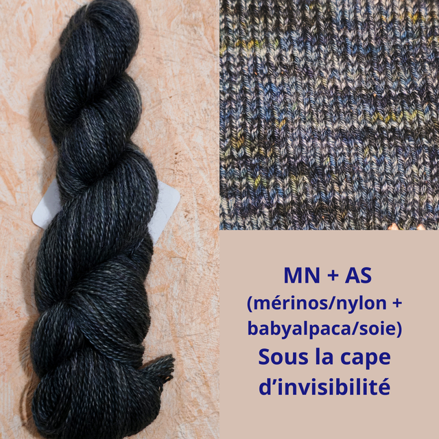 AS Sous la cape d'invisibilité