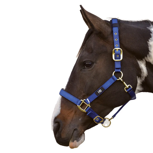 HY Deluxe Padded Head Collar BLUE