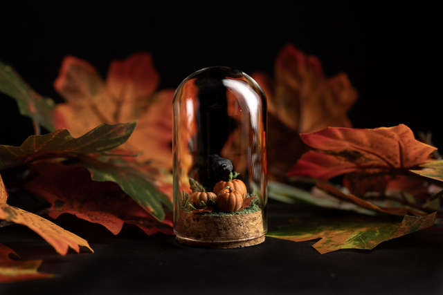 Collection Automne 2025 - Citrouilles et corbeau 