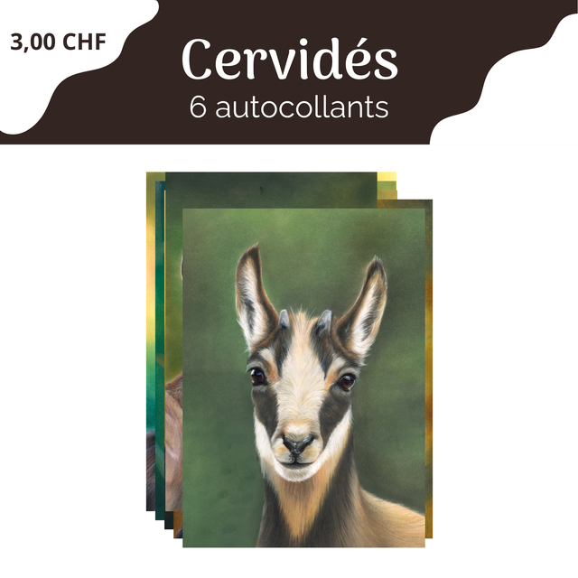 Pack de stickers Cervidés - 6 pièces