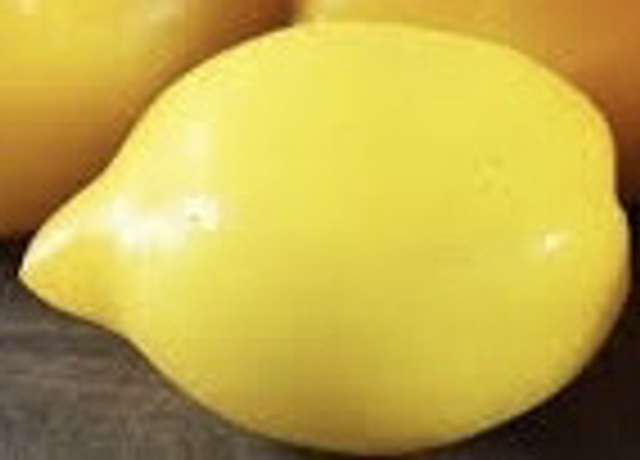 Tomate Téton de Vénus Jaune Bio 