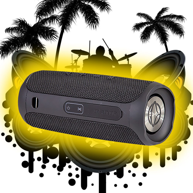 Prenájom: MANTA SPK130GO-BK (10W)