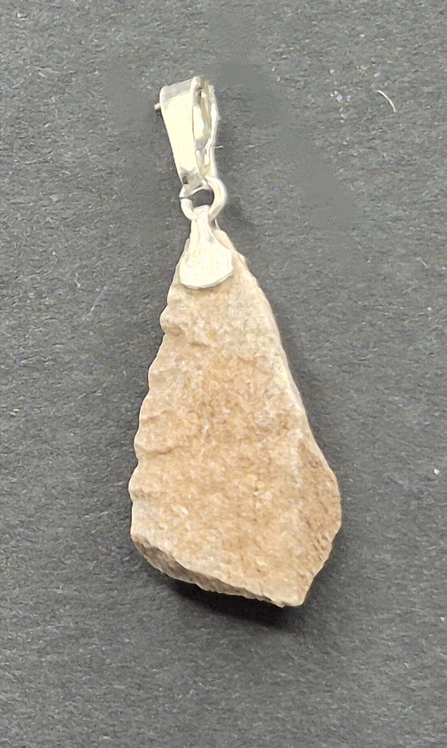 Fossilt - forstenet træ