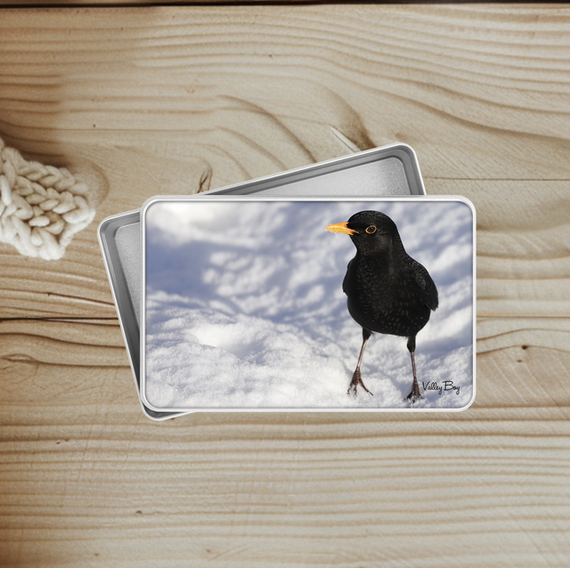 "Billy Blackbird" Keepsake Tin 