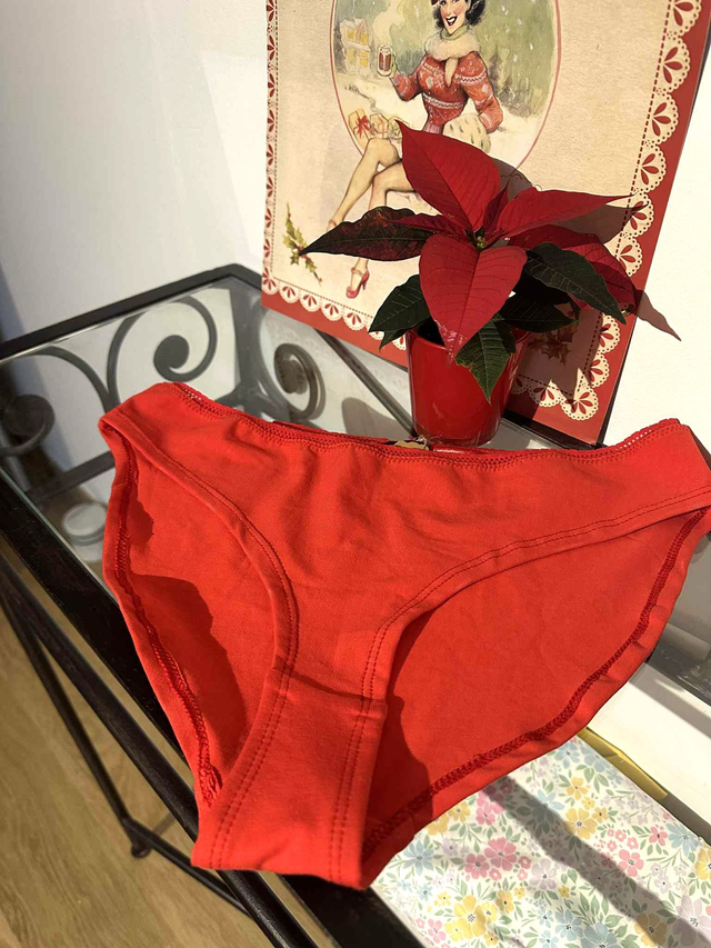 Pack sous-vêtements brodés Noël couple 