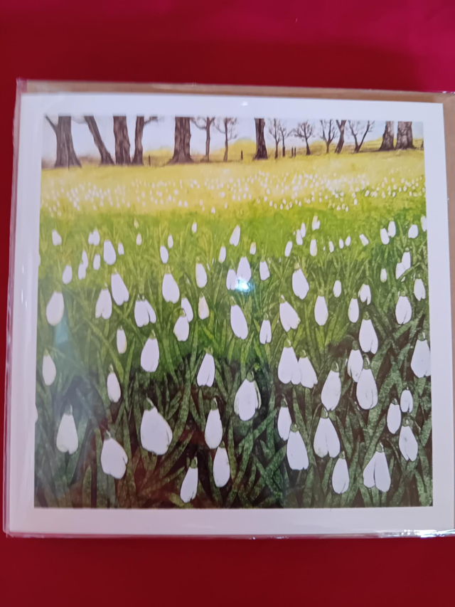 078 - Snowdrop card - Jo Biggadike 