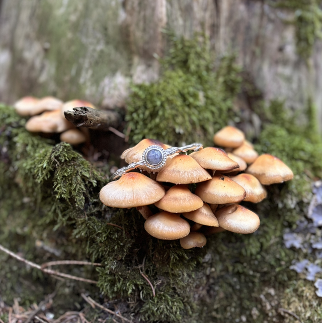 Manchette labradorite