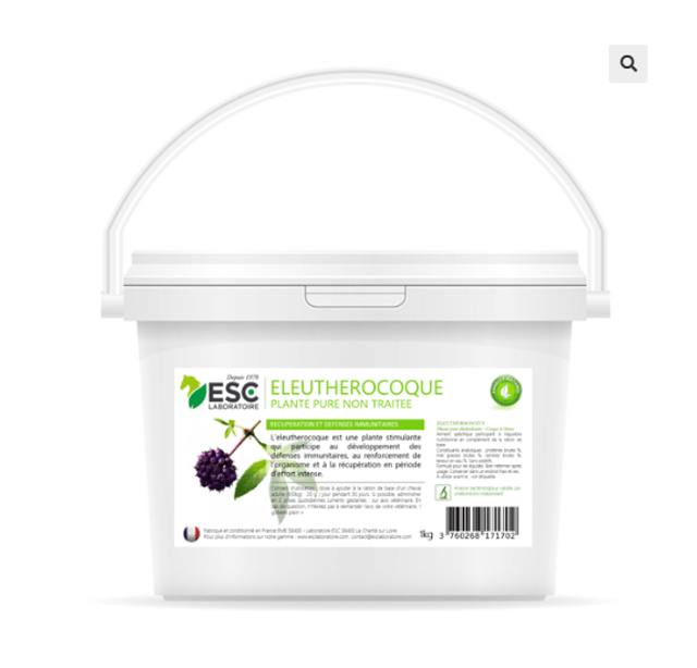 ELEUTHEROCOQUE – Défenses immunitaires et récupération cheval – Plante pure