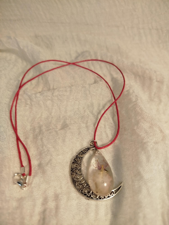 Lune et pétale de cerisier du Japon 