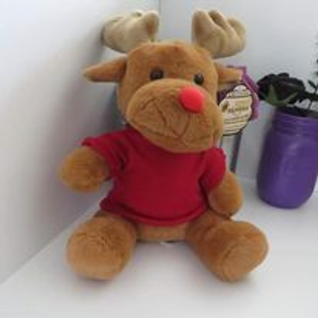Soft Medium Reindeer with Personalised T-Shirt