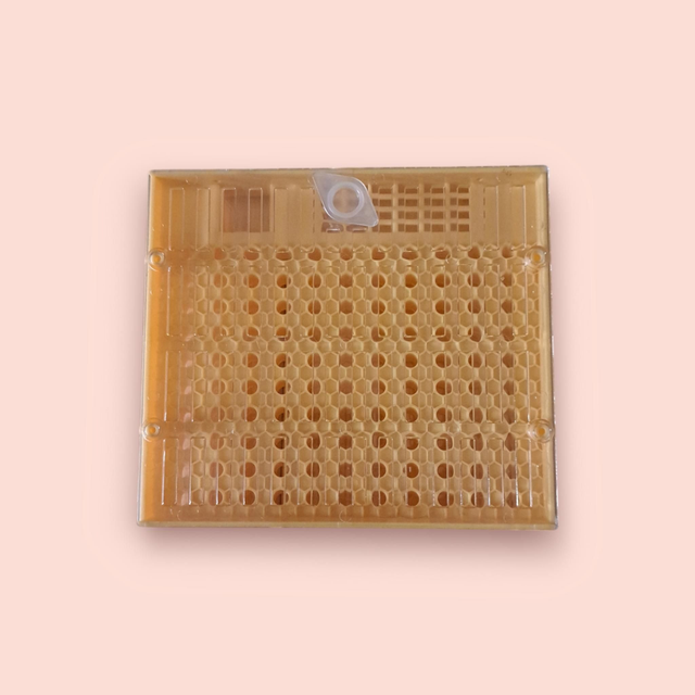 CASETTE PARA CRIANZA