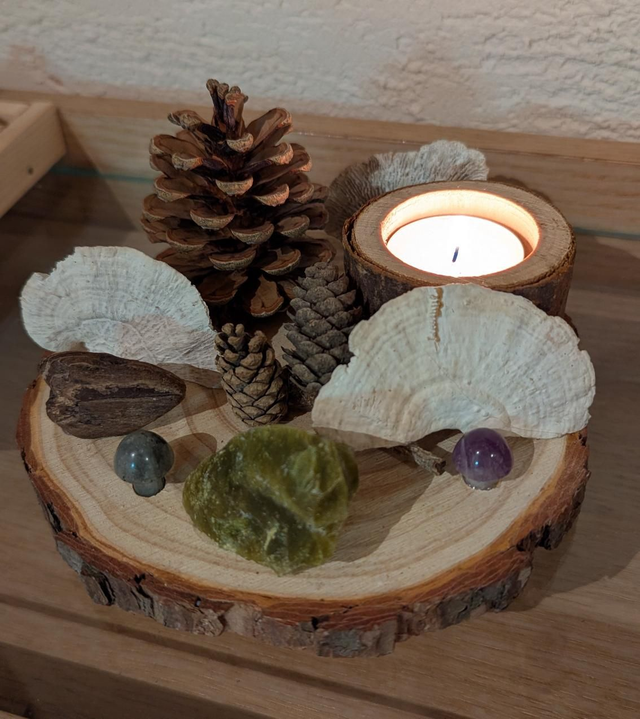 Déco nature champignons Améthyste et Labradorite 