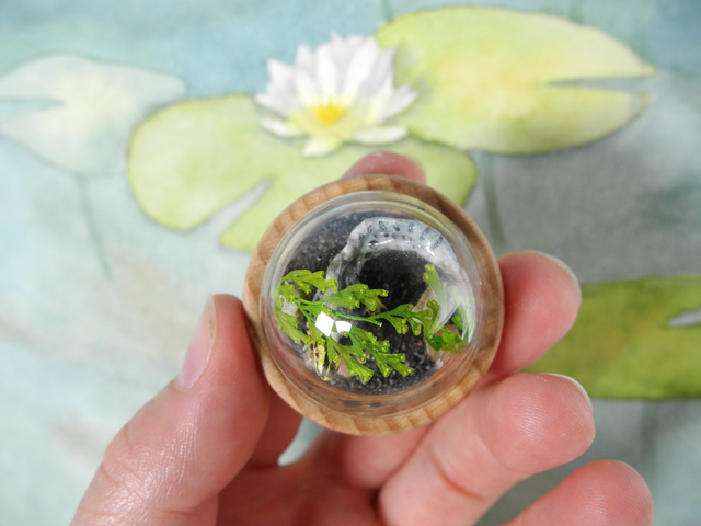 Not so smooth now - Among the lilypads - Miniature diorama Jewelry - Clear glass dome with delicate handmade smooth newt – animal jewelry