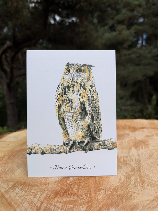 Carte postale Hibou Grand-Duc