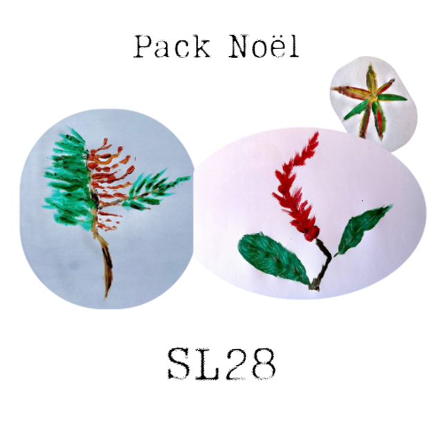 Pack Noël SL28 (2x500g + 1x125g)