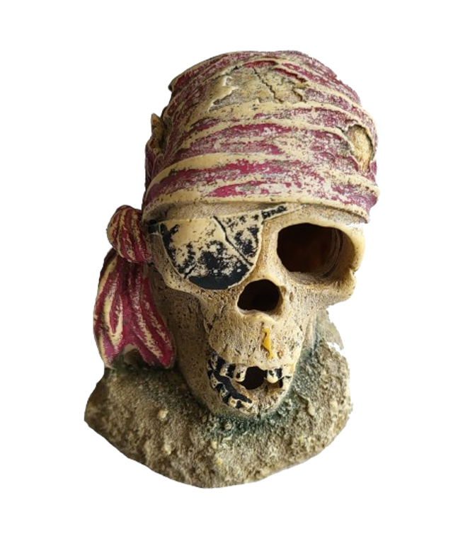 Tête de mort