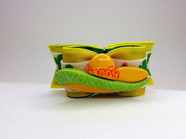 Noeud pour chien fantaisie-sombrero-cactus