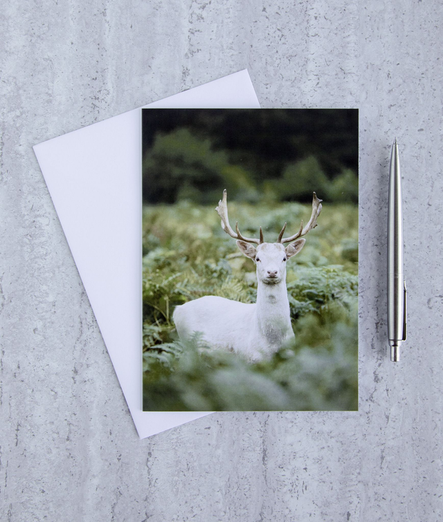 White Hart Blank Card