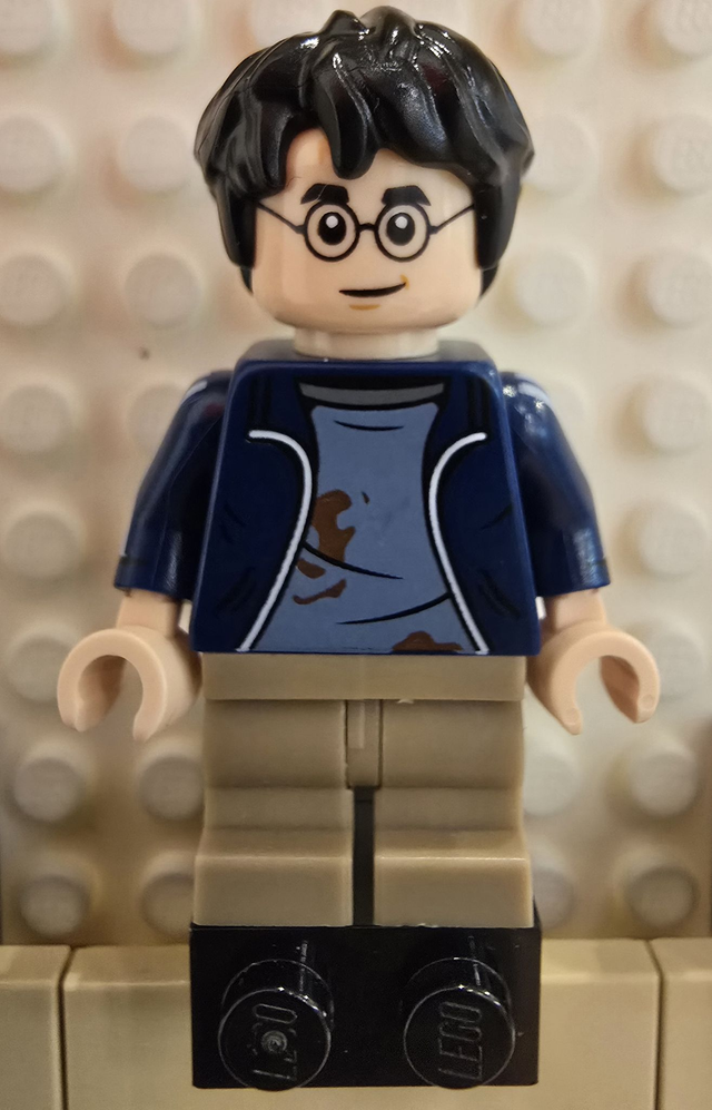 LEGO hp419 Harry Potter Minifigur