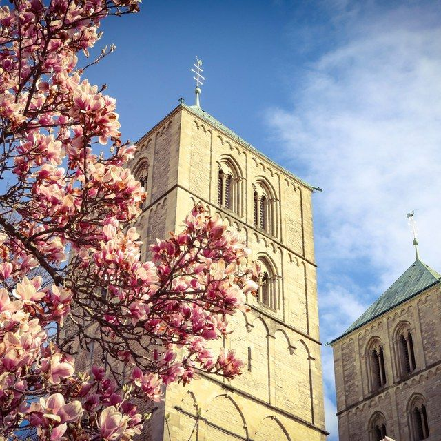 Dom mit Magnolienzweigen