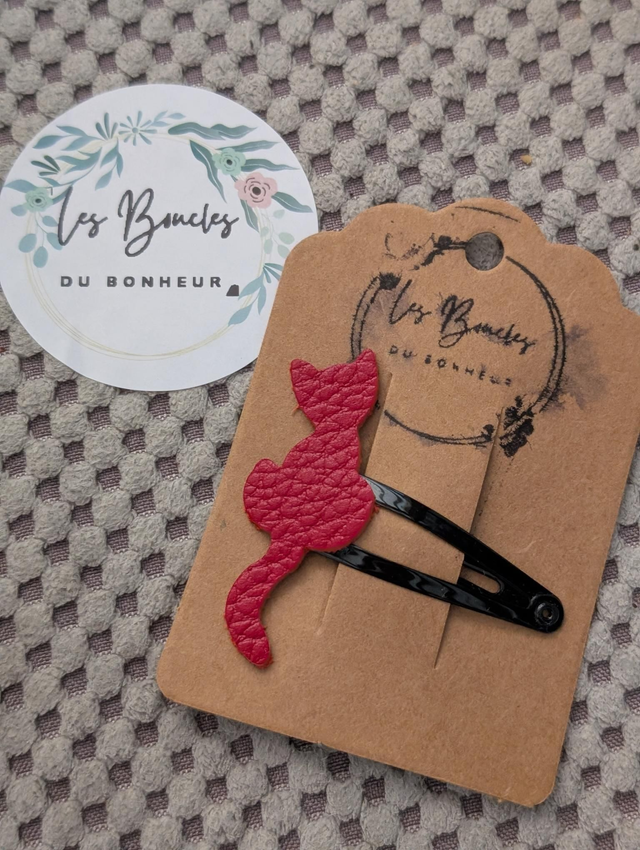 Barrette b054