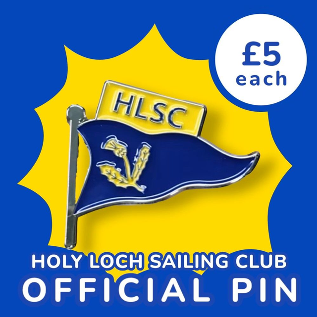 HLSC Pin Badge