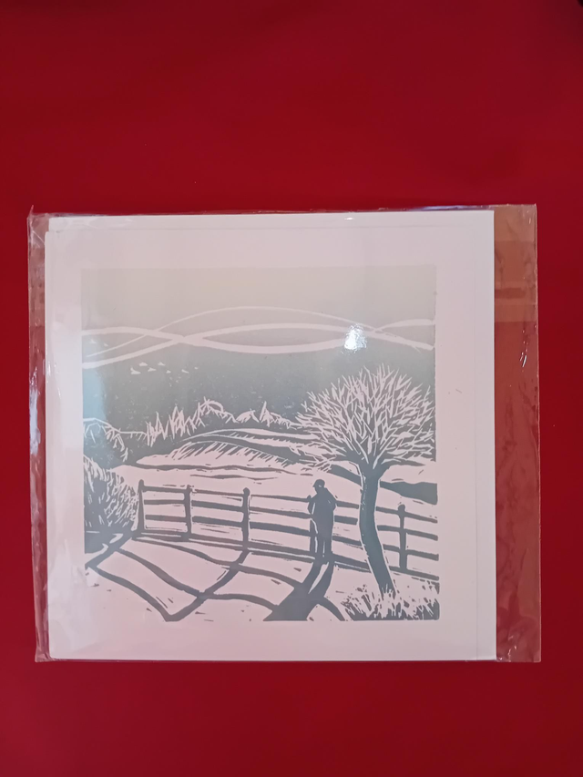 072 - Winter field card - Jo Biggadike 