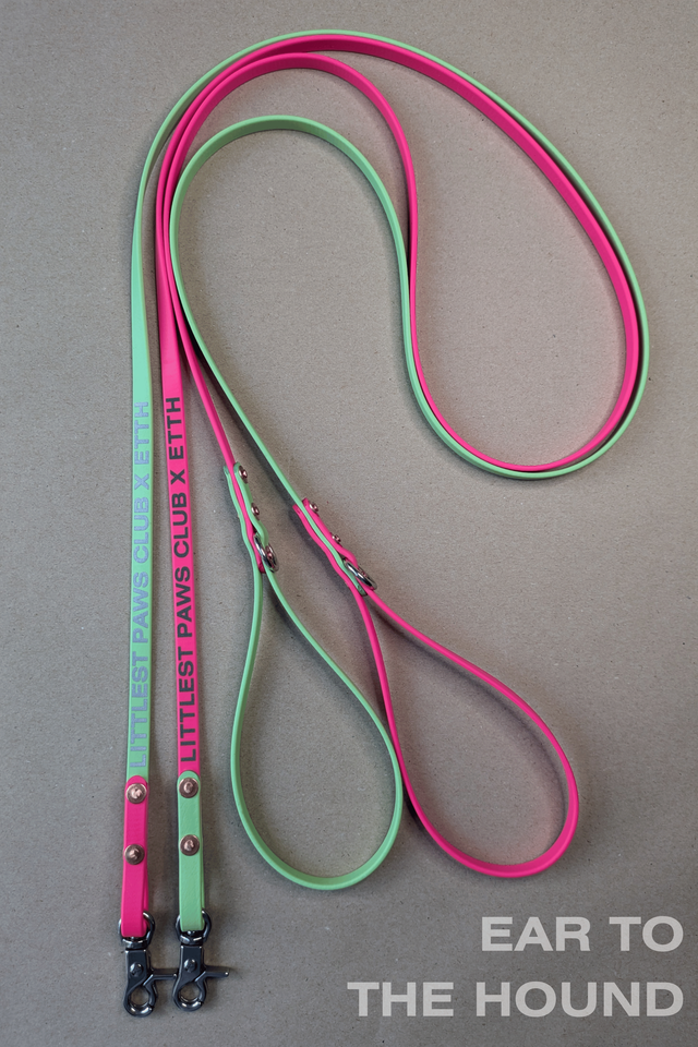 LITTLEST PAWS CLUB X ETTH LIGHTWEIGHT CORE LEAD