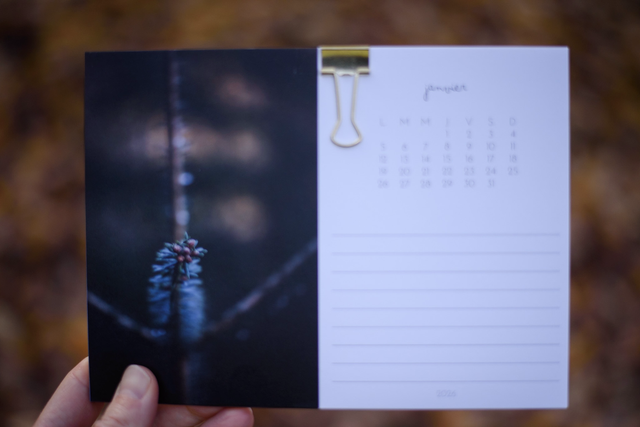 Calendrier intimiste 