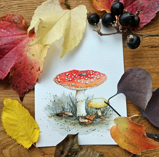 Fliegenpilz