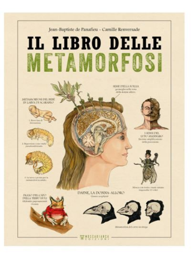 Il LIBRO DELLE METAMORFOSI - di De Panafieu Jean-Baptiste; Renversade Camille
