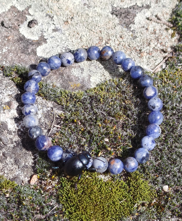 Bracelet Sodalite 