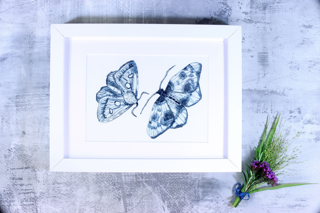 Drypoint Print: Pink Star Moth &amp; Clouded Magpie Moth