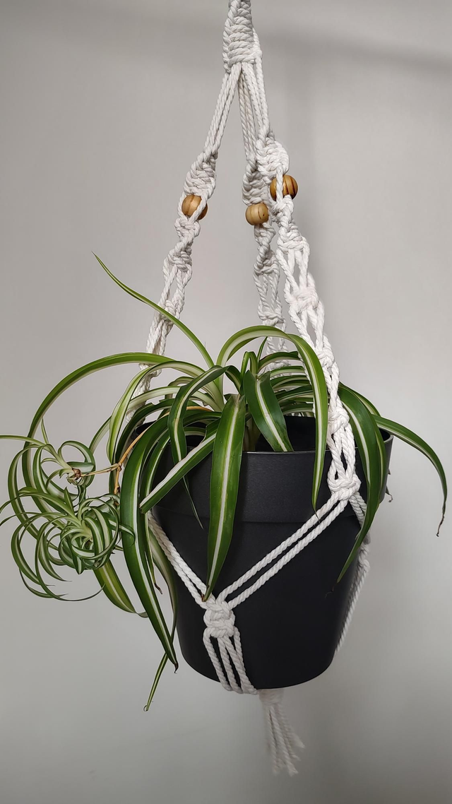 Suspension plante macramé - Déco bohème chic - Modèle 1