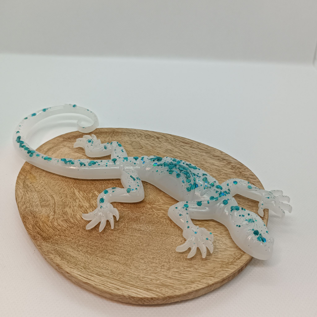 Salamandre - Blanc et Bleu