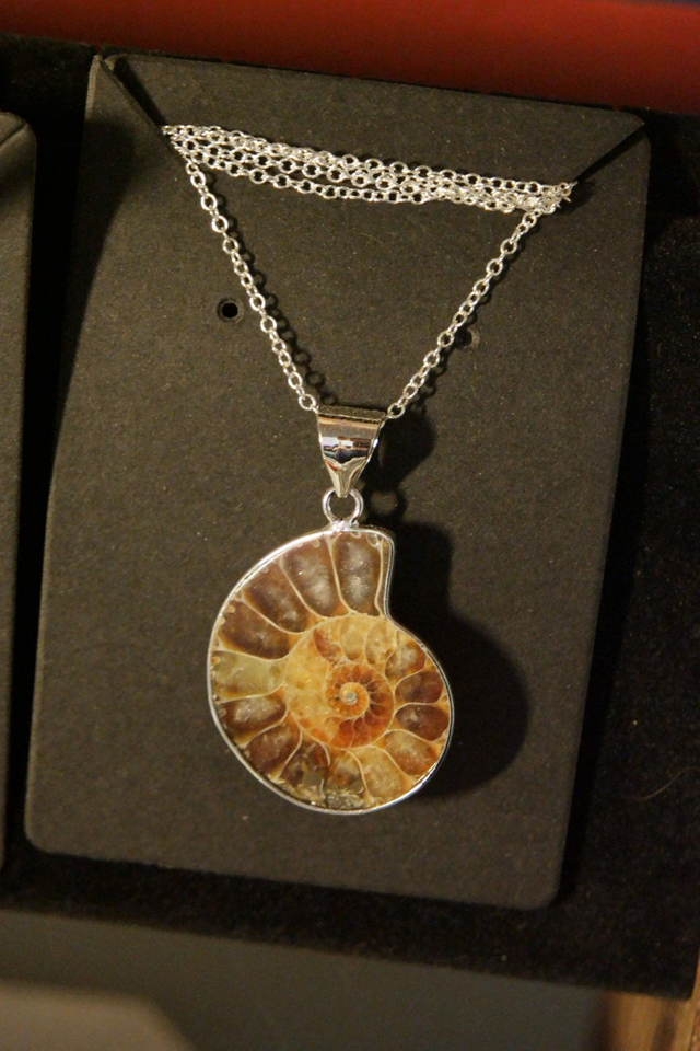 Collier ammonite