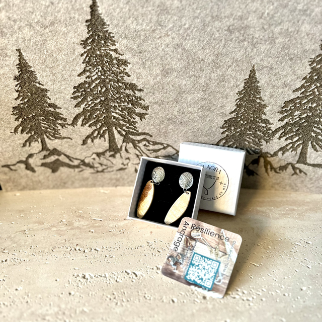 Boucles d'Oreilles Racine de Molavé &amp; Acier Argenté Ovale 