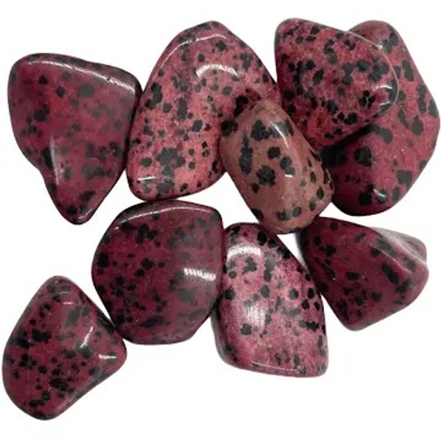 Red Dalmation Jasper