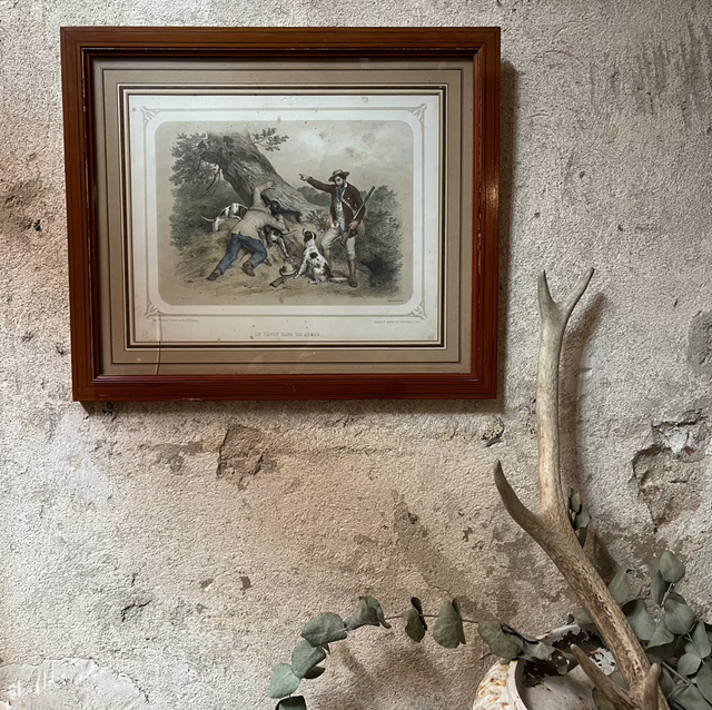 F. Grenier - Un lapin dans un arbre 