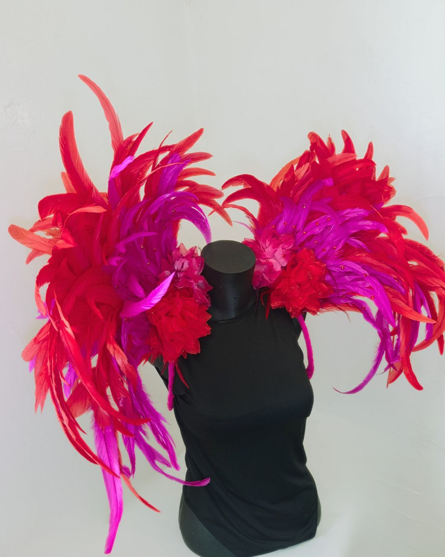 Costeiro Cleonina Samba Passion