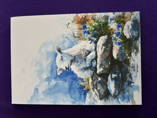 Plain Note Pad Lamb on a rock