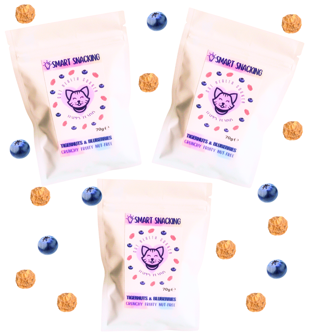 Happy Tummy Blueberry Tigernut Snack - Pack of 3 x 70g 