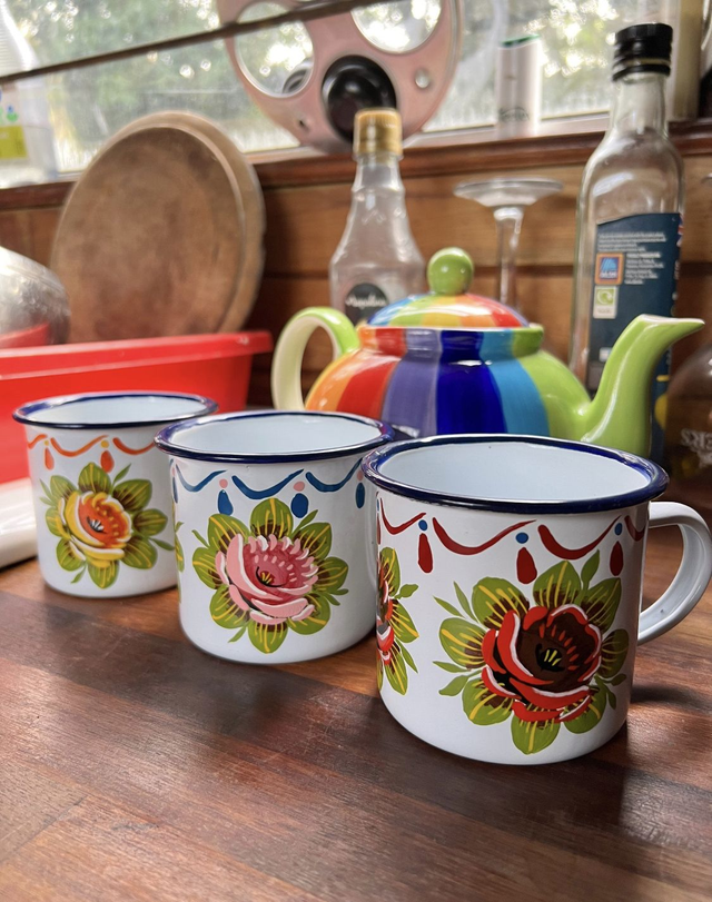 Vintage Enamel Mug hand painted with Canal Art Roses