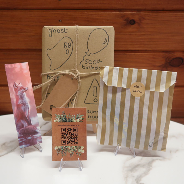 Childrens Mystery Book Bundle