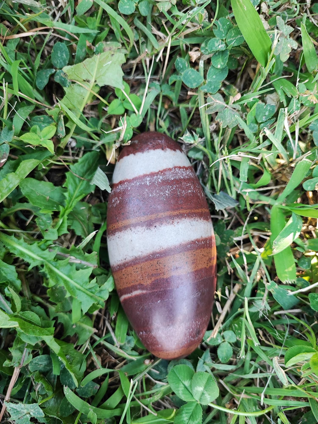 Pierre roulée Shiva Lingam 100x45mm