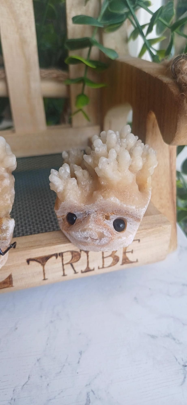 Coral - Crystal Critter